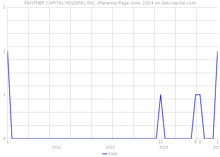 PANTHER CAPITAL HOLDING, INC. (Panama) Page visits 2024 