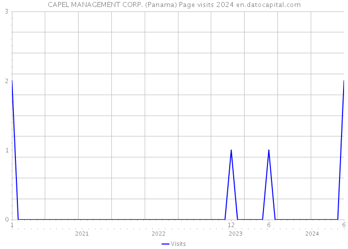 CAPEL MANAGEMENT CORP. (Panama) Page visits 2024 