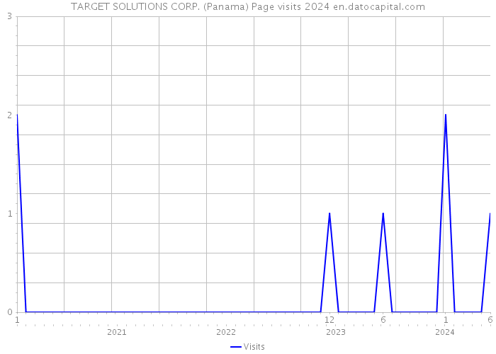 TARGET SOLUTIONS CORP. (Panama) Page visits 2024 