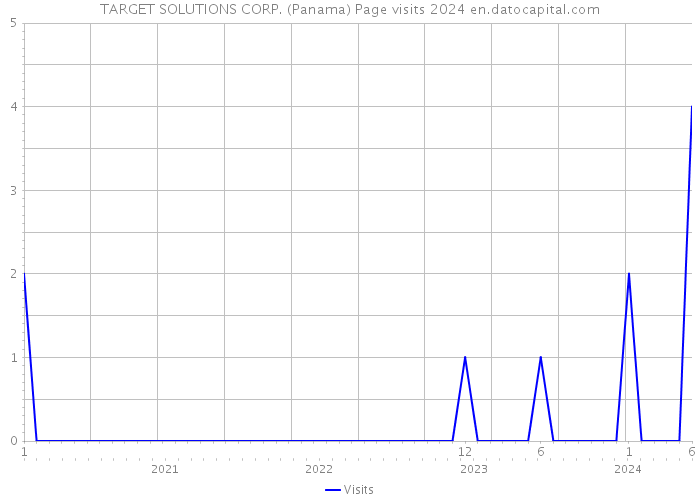 TARGET SOLUTIONS CORP. (Panama) Page visits 2024 