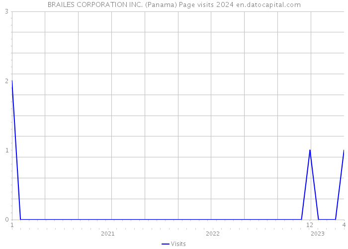 BRAILES CORPORATION INC. (Panama) Page visits 2024 