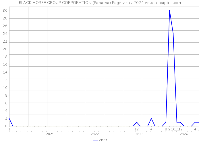 BLACK HORSE GROUP CORPORATION (Panama) Page visits 2024 