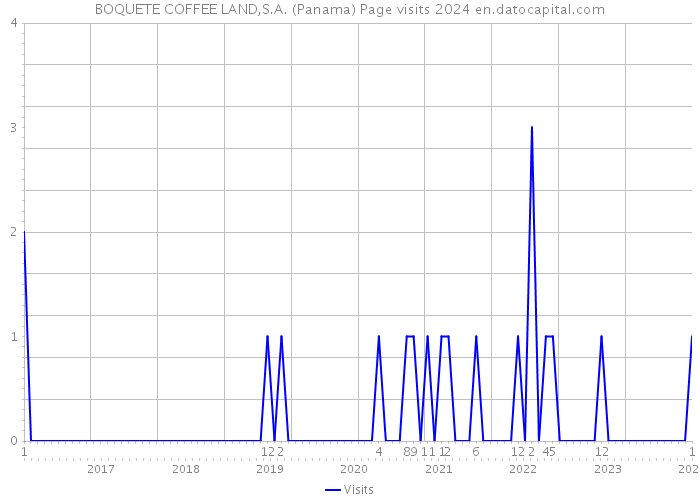 BOQUETE COFFEE LAND,S.A. (Panama) Page visits 2024 