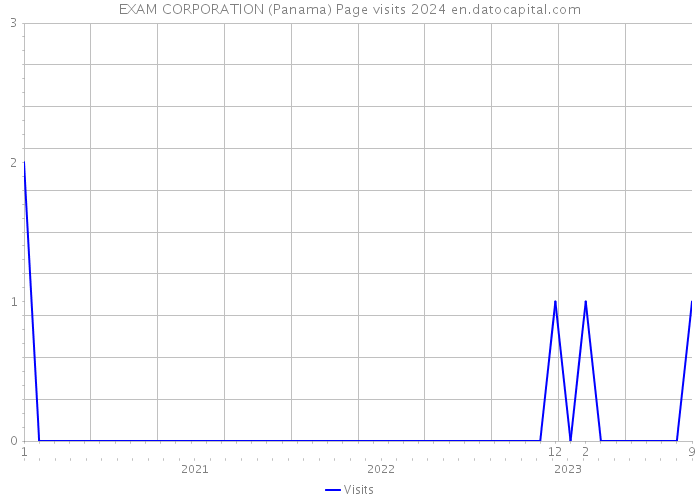 EXAM CORPORATION (Panama) Page visits 2024 