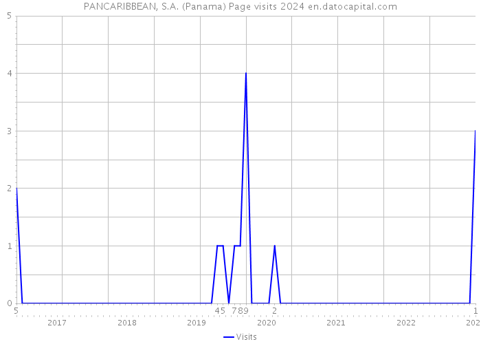 PANCARIBBEAN, S.A. (Panama) Page visits 2024 