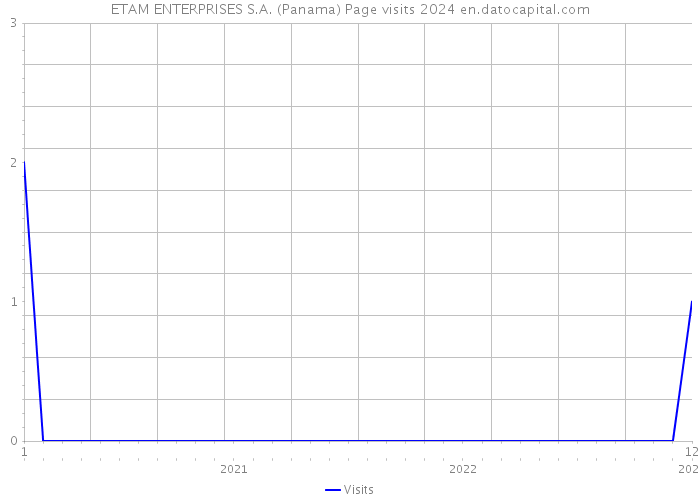 ETAM ENTERPRISES S.A. (Panama) Page visits 2024 