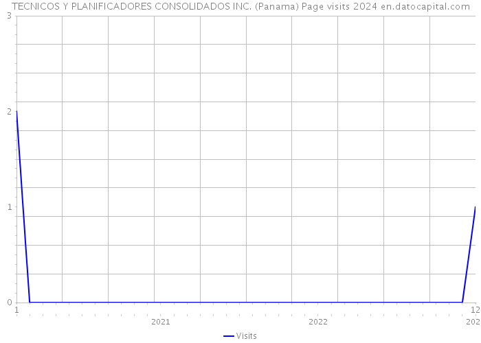 TECNICOS Y PLANIFICADORES CONSOLIDADOS INC. (Panama) Page visits 2024 