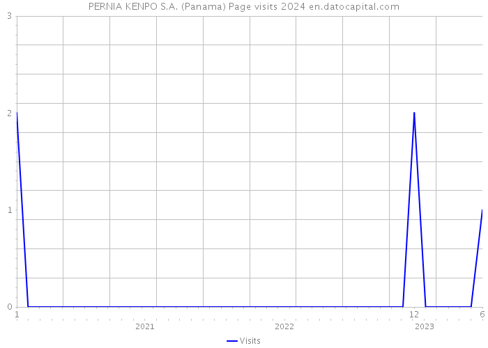PERNIA KENPO S.A. (Panama) Page visits 2024 