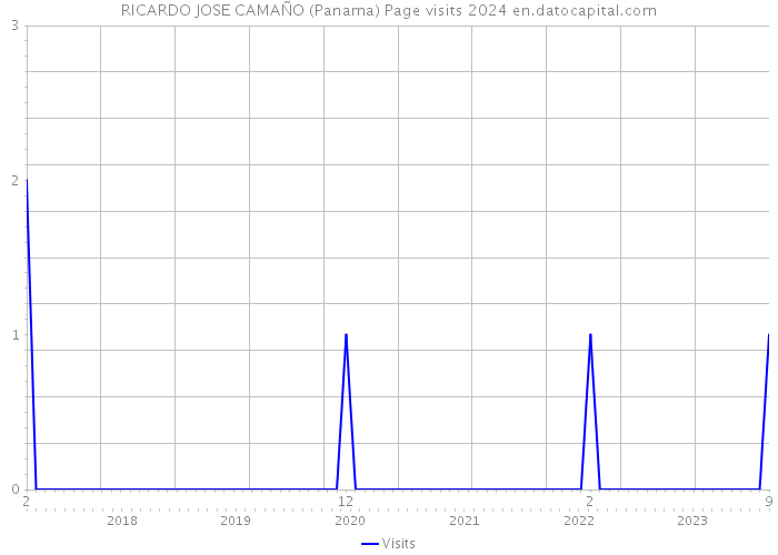 RICARDO JOSE CAMAÑO (Panama) Page visits 2024 