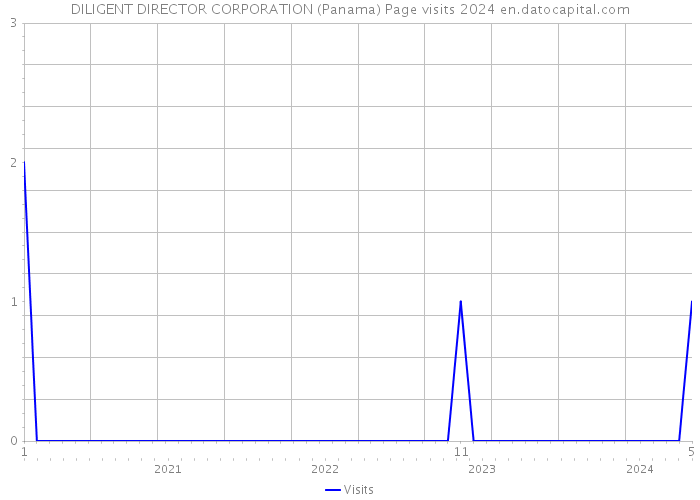 DILIGENT DIRECTOR CORPORATION (Panama) Page visits 2024 