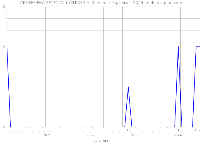 AROSEMENA SETENTA Y CINCO S.A. (Panama) Page visits 2024 