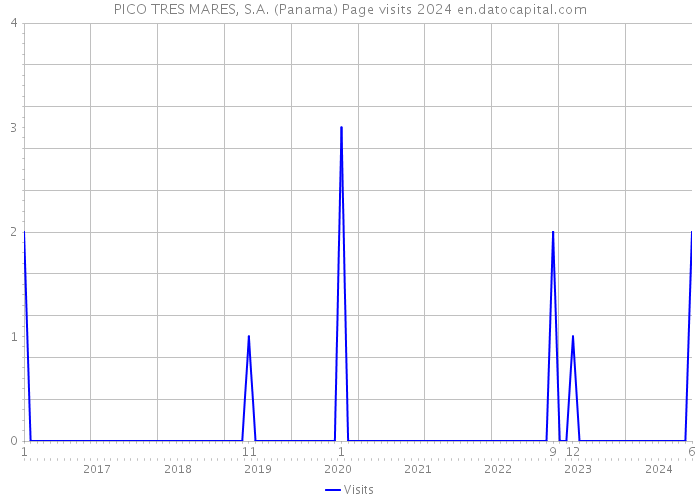 PICO TRES MARES, S.A. (Panama) Page visits 2024 