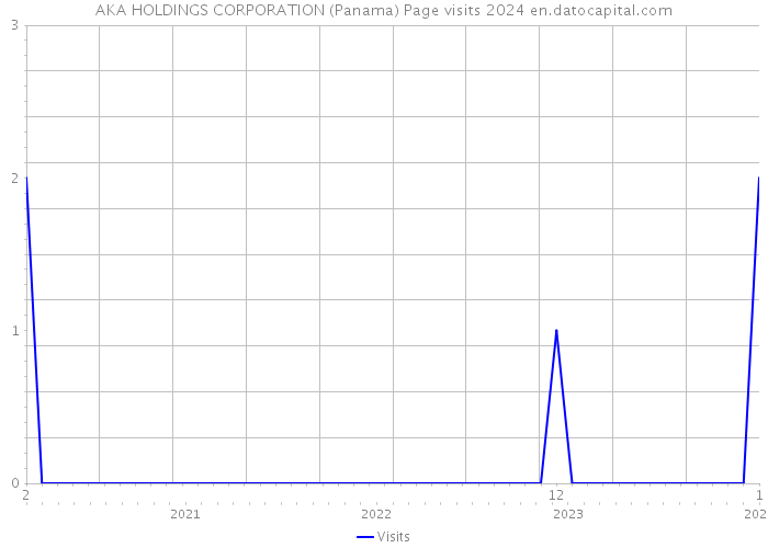 AKA HOLDINGS CORPORATION (Panama) Page visits 2024 