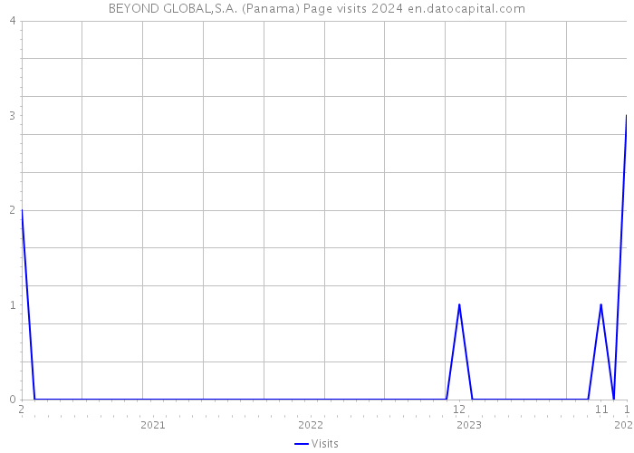 BEYOND GLOBAL,S.A. (Panama) Page visits 2024 