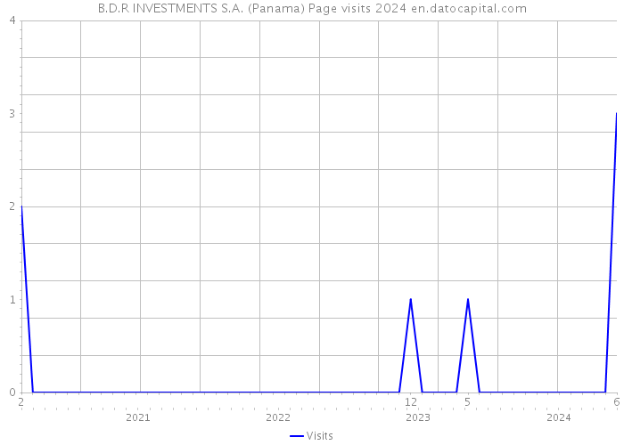 B.D.R INVESTMENTS S.A. (Panama) Page visits 2024 