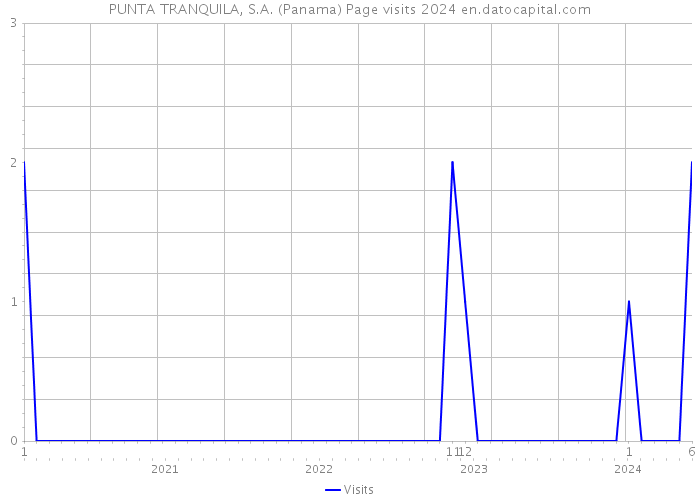 PUNTA TRANQUILA, S.A. (Panama) Page visits 2024 