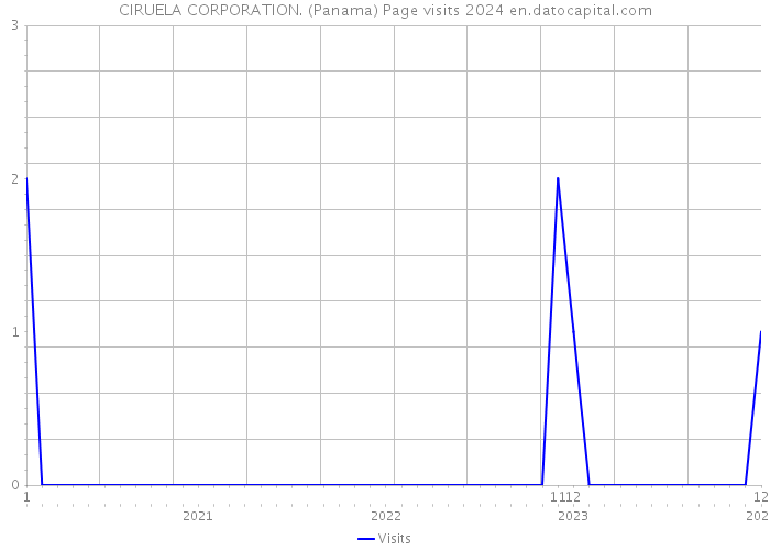 CIRUELA CORPORATION. (Panama) Page visits 2024 