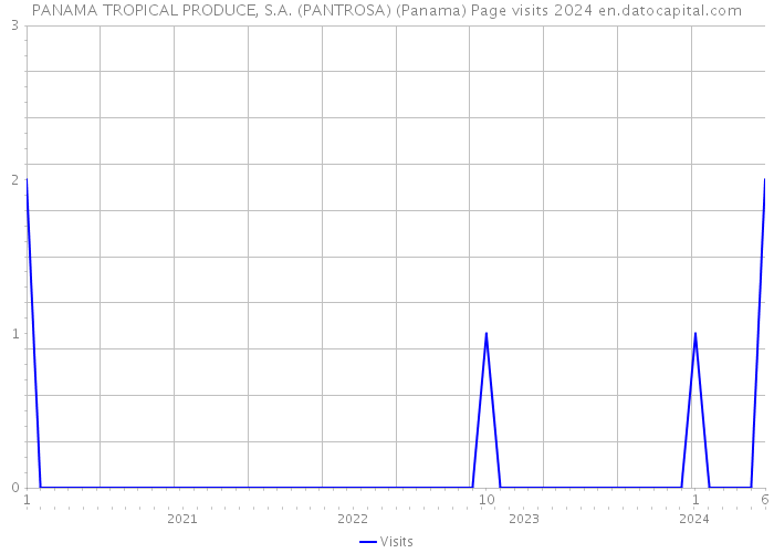 PANAMA TROPICAL PRODUCE, S.A. (PANTROSA) (Panama) Page visits 2024 
