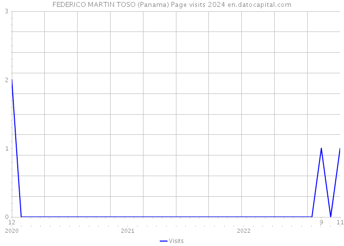 FEDERICO MARTIN TOSO (Panama) Page visits 2024 