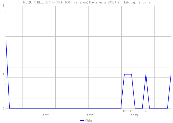 REQUIN BLEU CORPORATION (Panama) Page visits 2024 
