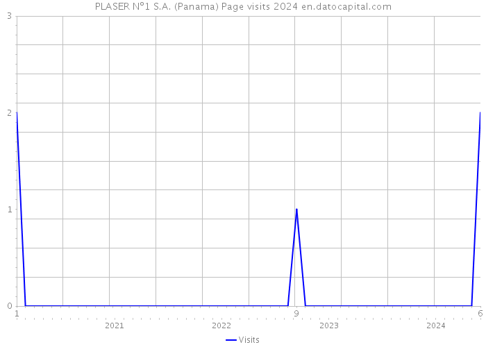 PLASER Nº1 S.A. (Panama) Page visits 2024 