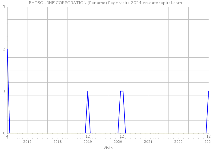 RADBOURNE CORPORATION (Panama) Page visits 2024 