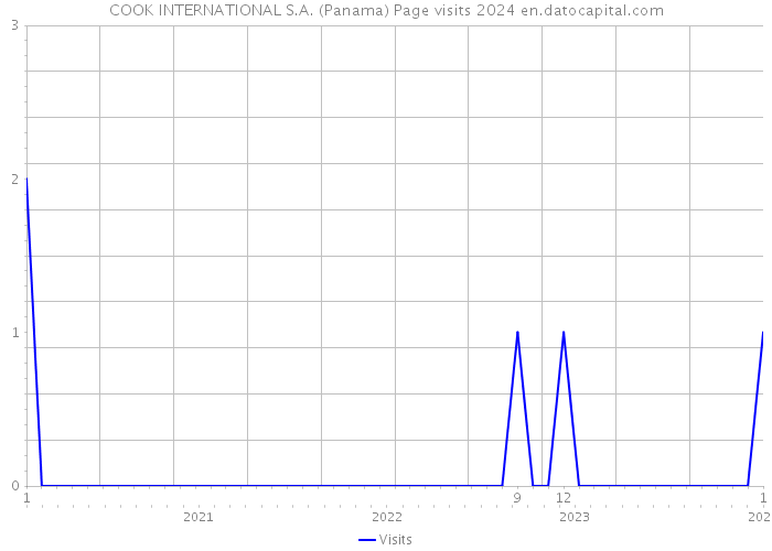 COOK INTERNATIONAL S.A. (Panama) Page visits 2024 