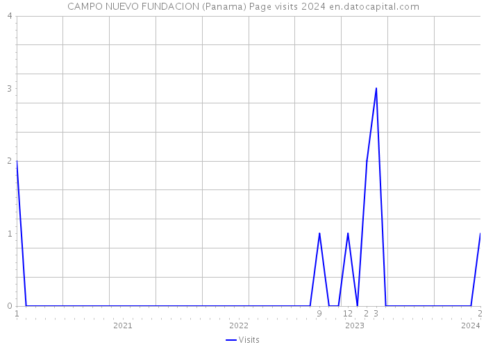 CAMPO NUEVO FUNDACION (Panama) Page visits 2024 
