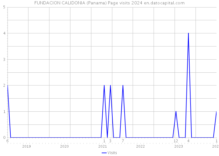 FUNDACION CALIDONIA (Panama) Page visits 2024 