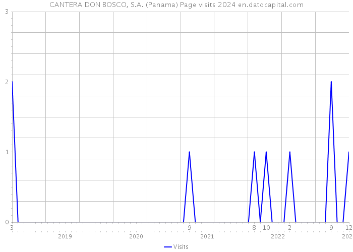 CANTERA DON BOSCO, S.A. (Panama) Page visits 2024 