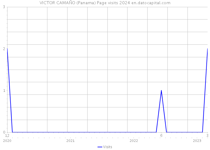 VICTOR CAMAÑO (Panama) Page visits 2024 