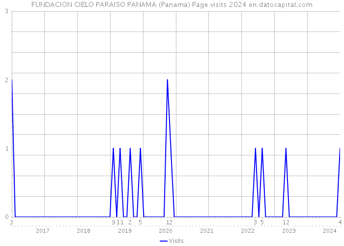 FUNDACION CIELO PARAISO PANAMA (Panama) Page visits 2024 