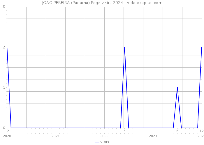 JOAO PEREIRA (Panama) Page visits 2024 