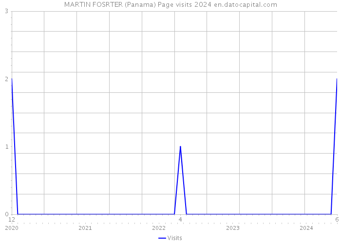 MARTIN FOSRTER (Panama) Page visits 2024 