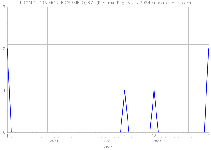 PROMOTORA MONTE CARMELO, S.A. (Panama) Page visits 2024 