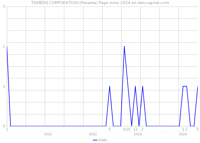 TAMESIS CORPORATION (Panama) Page visits 2024 