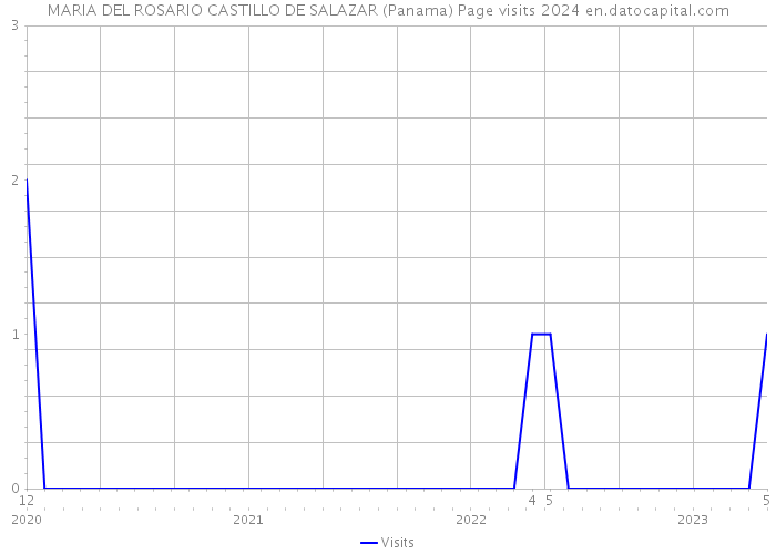 MARIA DEL ROSARIO CASTILLO DE SALAZAR (Panama) Page visits 2024 