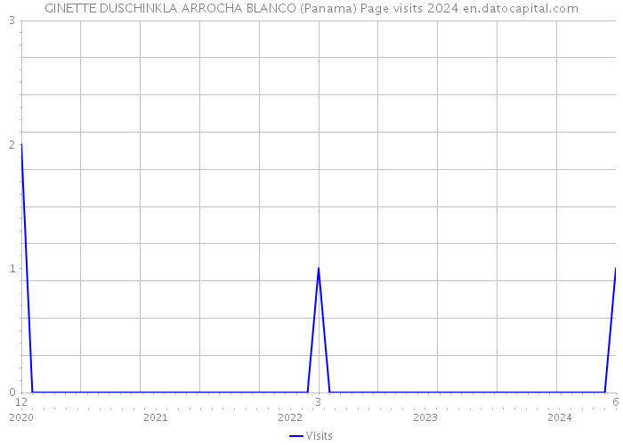 GINETTE DUSCHINKLA ARROCHA BLANCO (Panama) Page visits 2024 