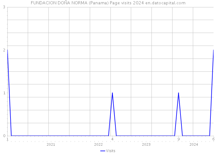 FUNDACION DOÑA NORMA (Panama) Page visits 2024 
