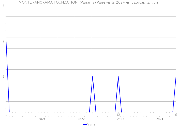 MONTE PANORAMA FOUNDATION. (Panama) Page visits 2024 