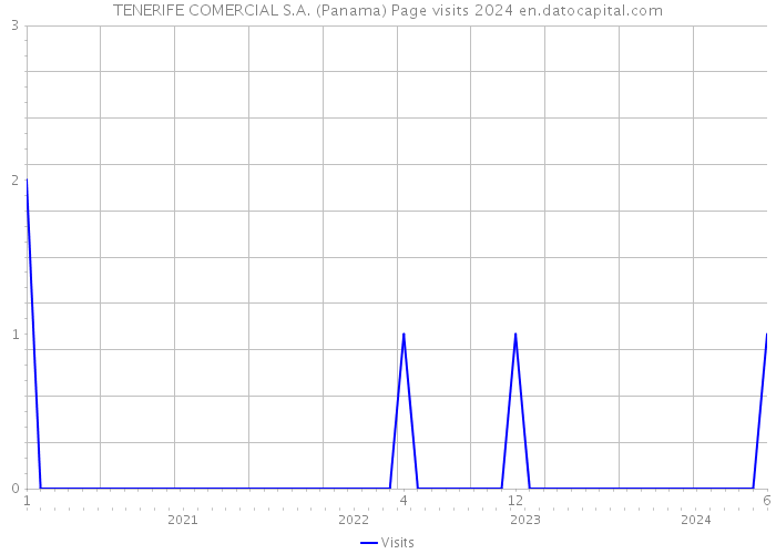 TENERIFE COMERCIAL S.A. (Panama) Page visits 2024 