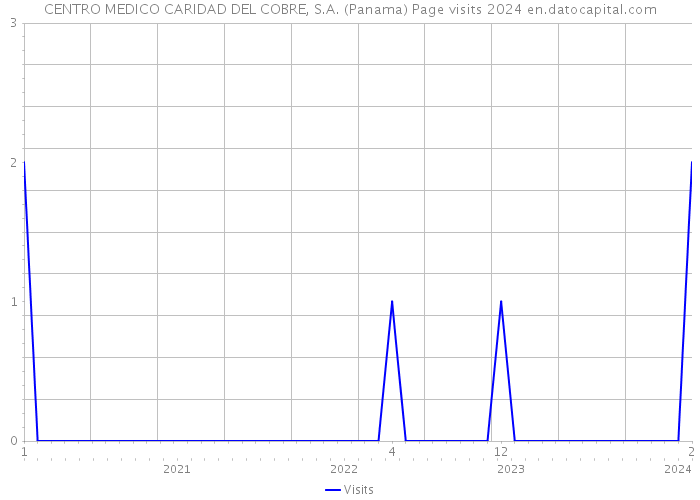 CENTRO MEDICO CARIDAD DEL COBRE, S.A. (Panama) Page visits 2024 