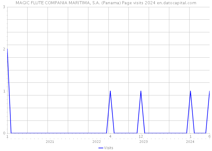 MAGIC FLUTE COMPANIA MARITIMA, S.A. (Panama) Page visits 2024 