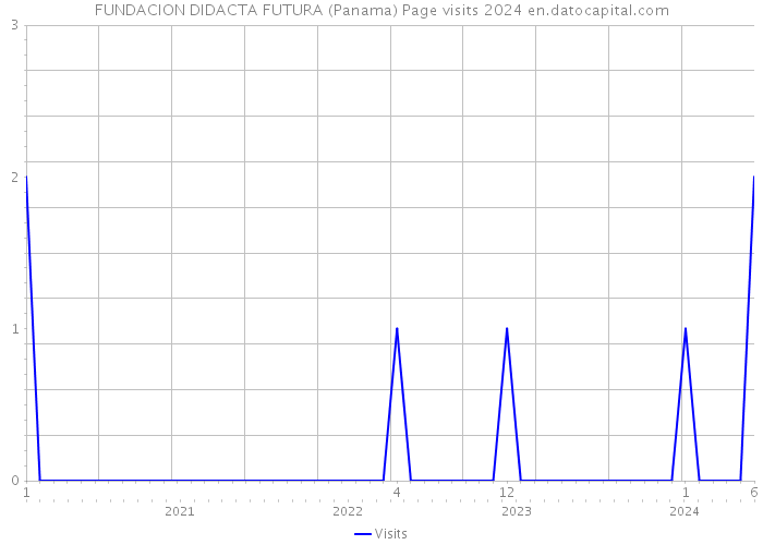FUNDACION DIDACTA FUTURA (Panama) Page visits 2024 