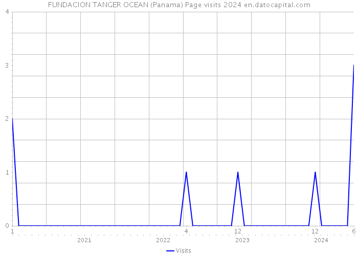 FUNDACION TANGER OCEAN (Panama) Page visits 2024 
