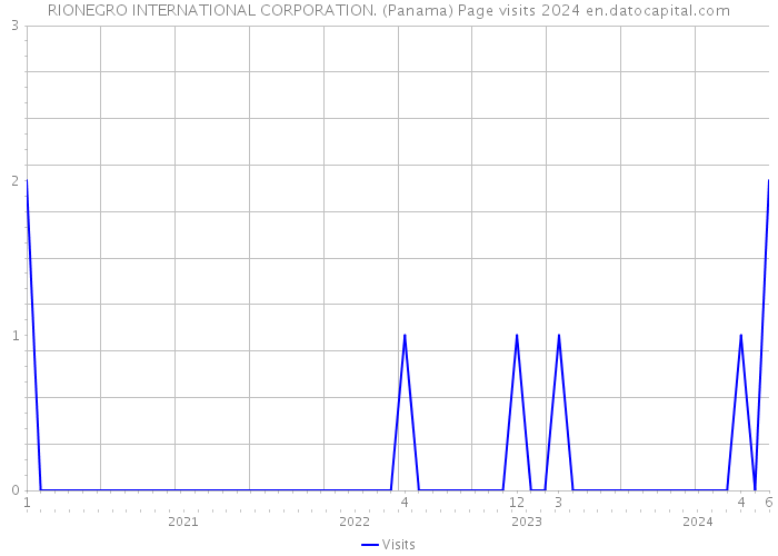 RIONEGRO INTERNATIONAL CORPORATION. (Panama) Page visits 2024 