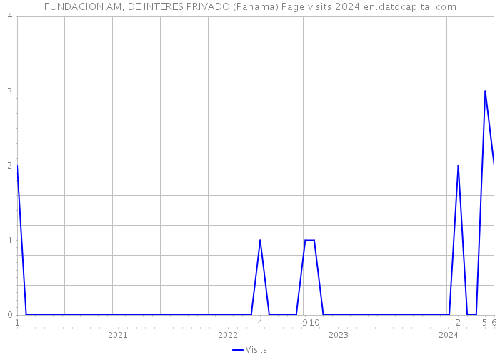 FUNDACION AM, DE INTERES PRIVADO (Panama) Page visits 2024 