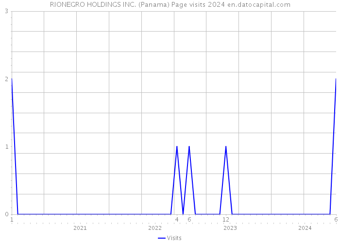 RIONEGRO HOLDINGS INC. (Panama) Page visits 2024 