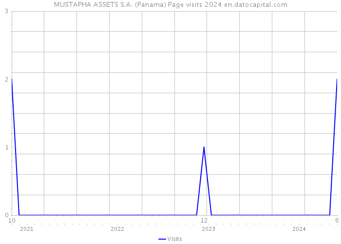 MUSTAPHA ASSETS S.A. (Panama) Page visits 2024 