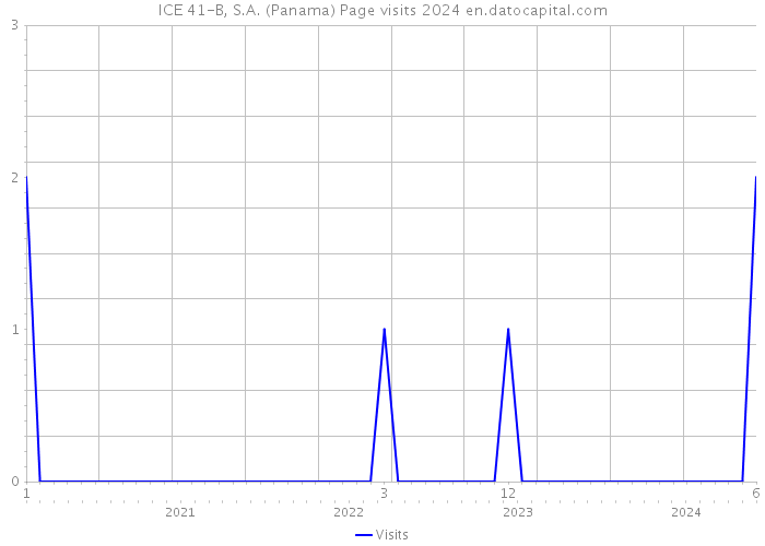 ICE 41-B, S.A. (Panama) Page visits 2024 